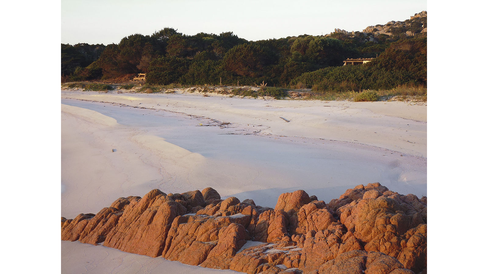 Beach Shoreline